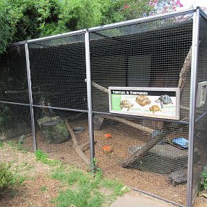 Education Building - Green Iguana/Tortoise Exhibit