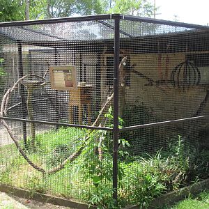 Education Building - Kinkajou Exhibit