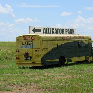 Gator Bus (just down the road)
