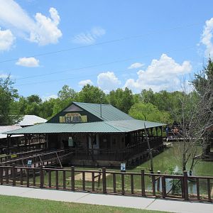 Alligator Swamp - From Viewing Deck