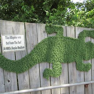 Alligator Topiary