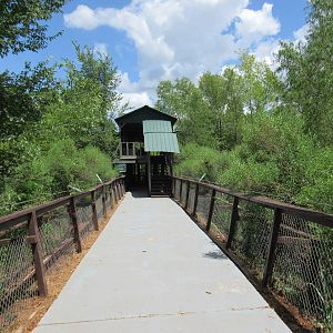 Alligator Marsh - Visitor Pathway