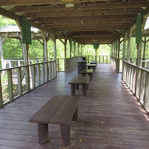 Alligator Marsh - Viewing Deck
