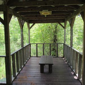 Alligator Marsh - Viewing Deck