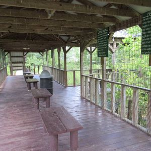 Alligator Marsh - Viewing Deck