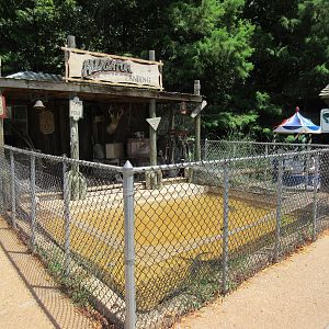 Alligator Exhibit (for juveniles)