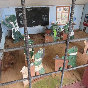 Alligator Wooden Classroom