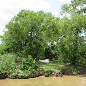 Castaway Island - a real crashed plane
