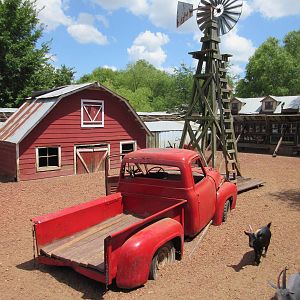 Goat Petting Paddock