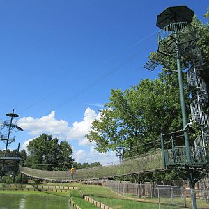 Zipline Over Gator Pond