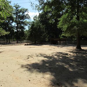 Red Kangaroo Exhibit