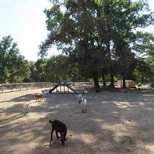 Goat Yard