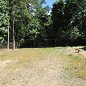 Scottish Highland Cattle Exhibit