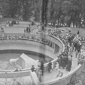 Tecton Polar Bear Pit - Dudley Zoo c1935