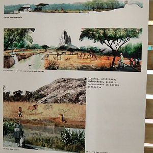 Vincennes africa savannah plan 11/06