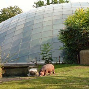 Hippo house exterior