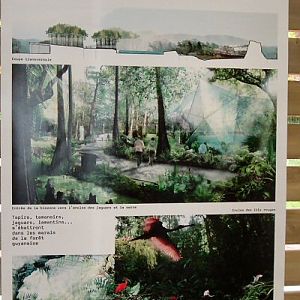 Humid forest plan Zoo de Vincennes Paris