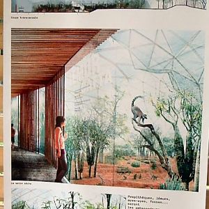 Madagascar forest plan paris