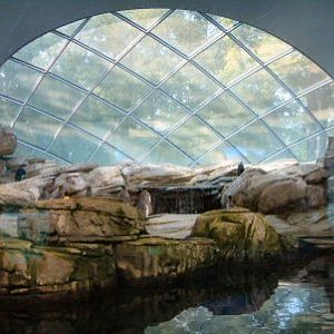 Penguin house Berlin Zoo