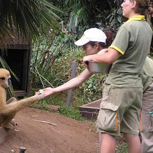 Jungle world - Tenerife