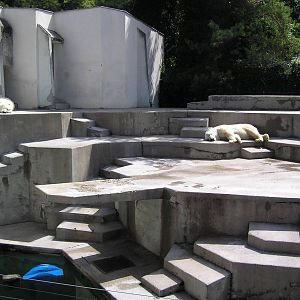 Polar bear enclosure - Mulhouse 2006