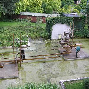 Spider monkey exhibit - Stuttgart zoo 2006