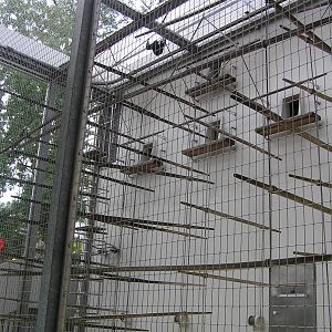 Lar gibbon enclosure - Stuttgart 2006