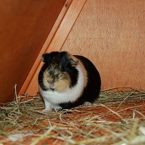 Rest In Peace Florence