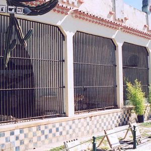Cat Enclosures - Lisbon Zoo 2005