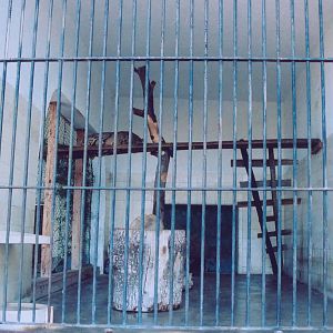 Clouded Leopard Enclosure - Lisbon Zoo 2005