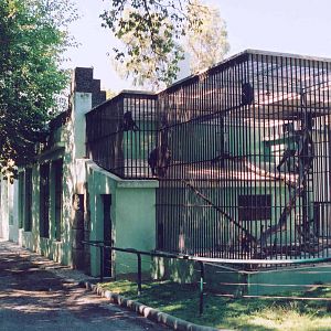 Gorilla/ Mandrill House - Lisbon Zoo 2005