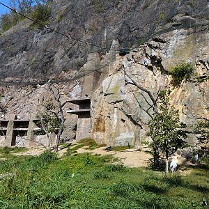 bird enclosure prague