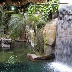 Tropen-Aquarium Hagenbeck Hamburg 2008
