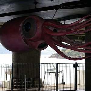 colossal squid model
