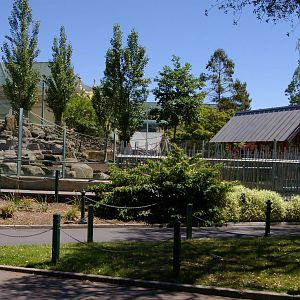 Japanese macaque enclosure