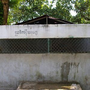 leopard cage, Angkor Zoo
