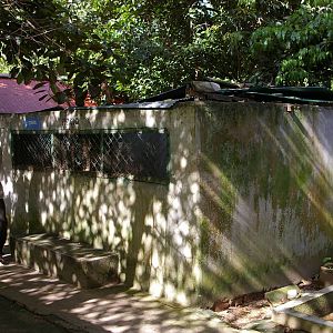 leopard cat cage, Angkor Zoo
