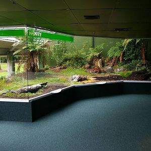 Invercargill tuatarium