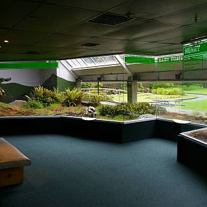 Invercargill tuatarium
