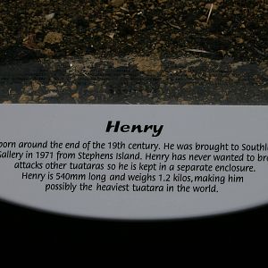 Henry's sign at Tuatarium