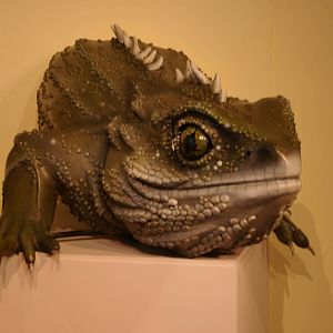tuatara statue