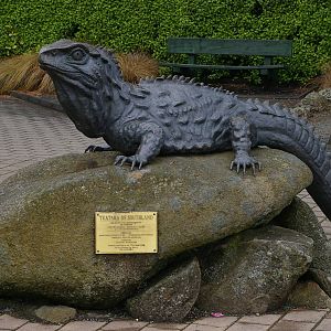 tuatara statue