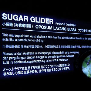 Information sign, Night Safari