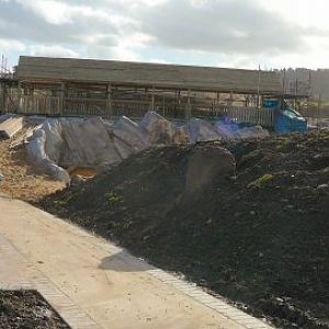 penguin pool at Blackbrook