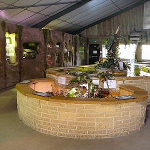 water wings & webs at Blackbrook