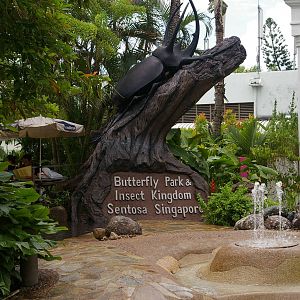Sentosa Insect Kingdom