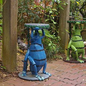 at Sentosa Insect Kingdom