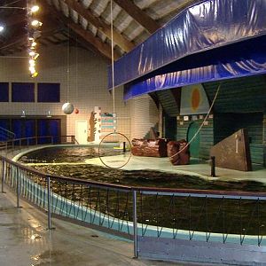 Antwerp Dolphinarium