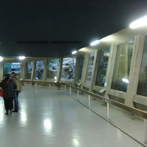 Antwerp Monkey House