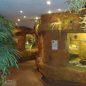 Blankenberg Serpentarium vivs